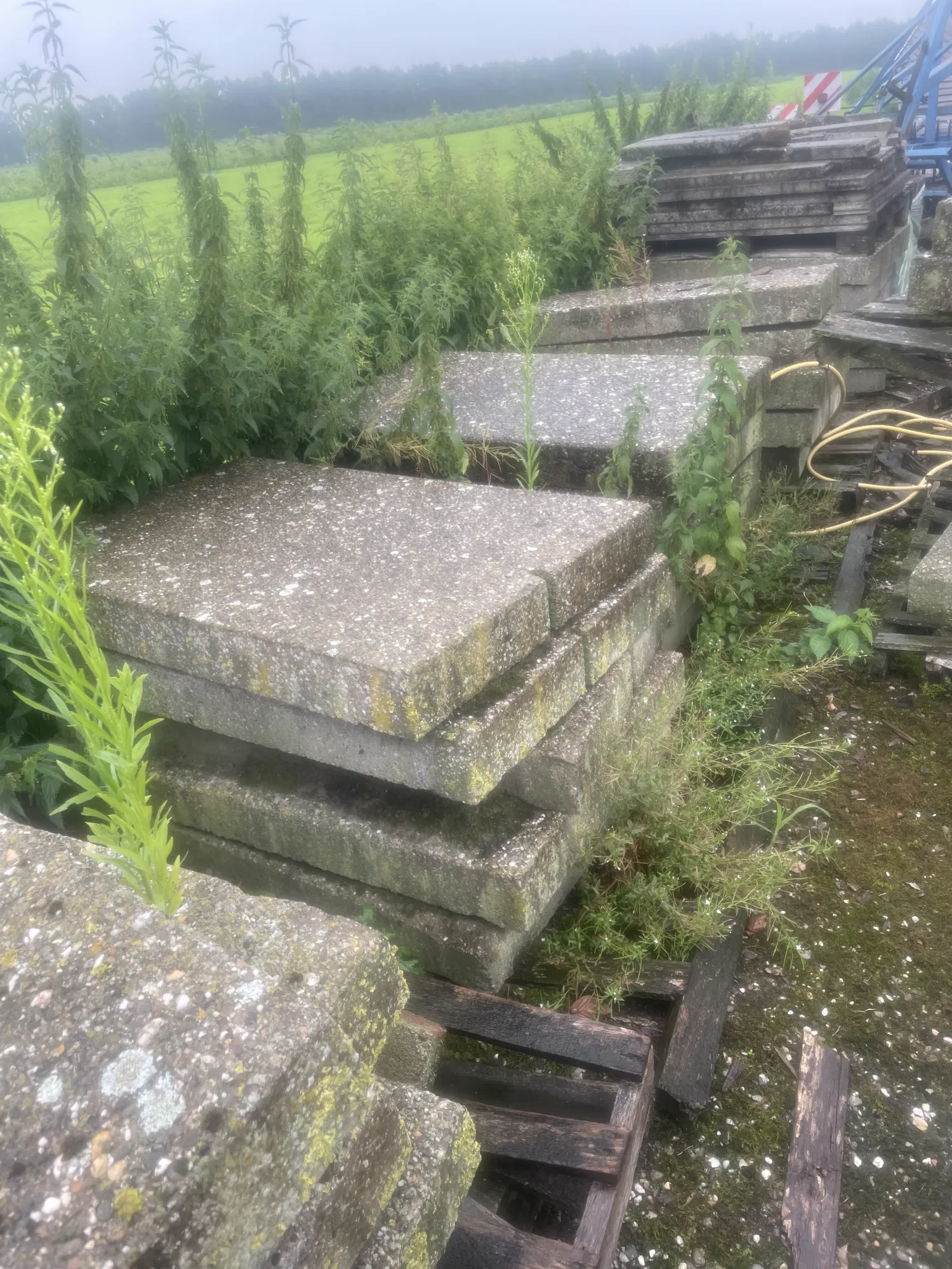Betonplaten kopen | Topkwaliteit voor de beste prijs