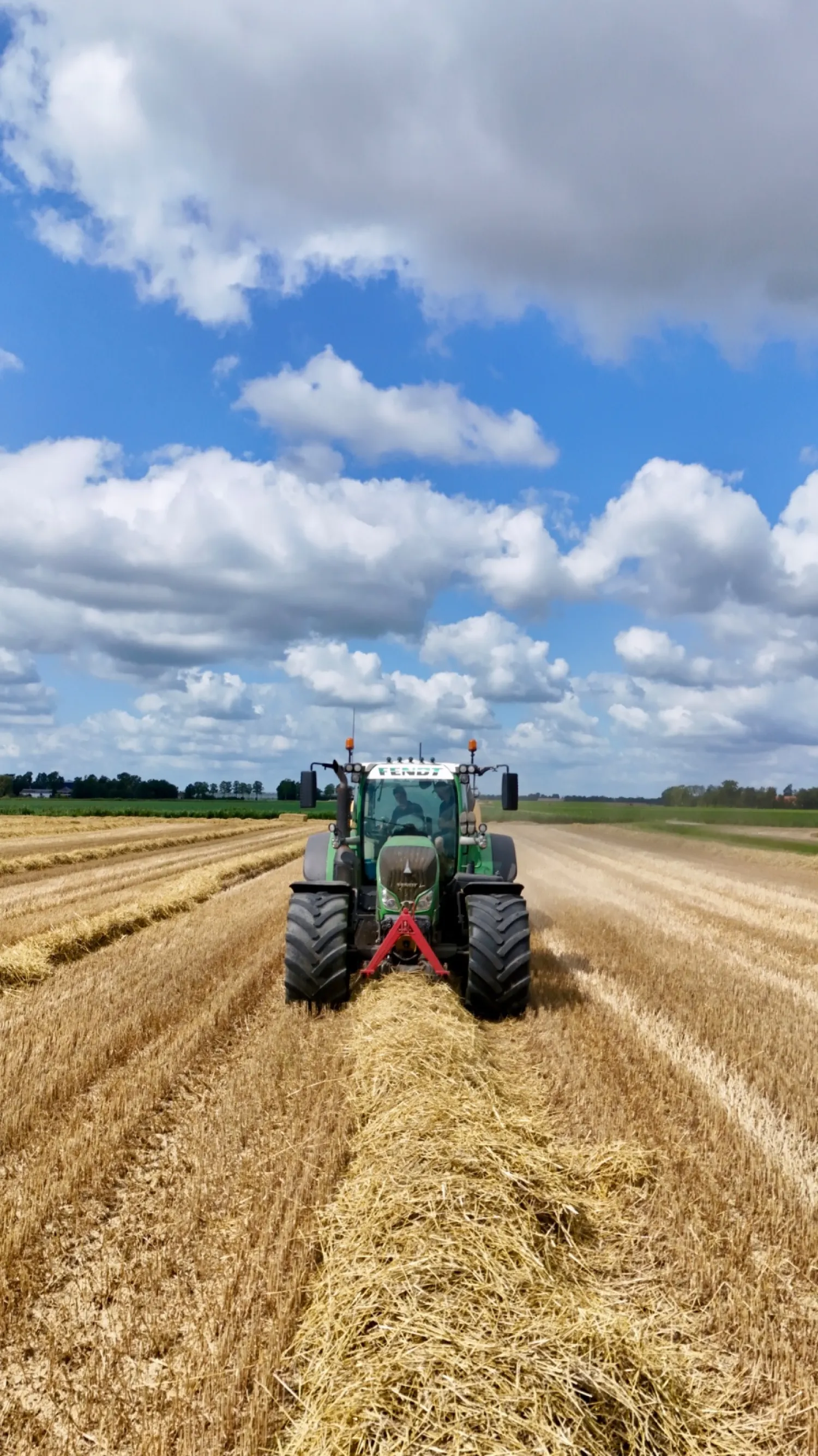 Tarwestro Gezocht in Noordoostpolder | Aankoop