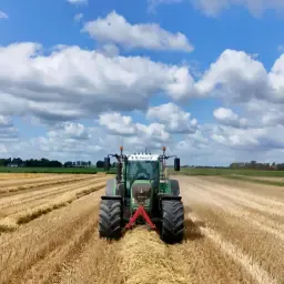 Tarwestro Gezocht in Noordoostpolder | Aankoop