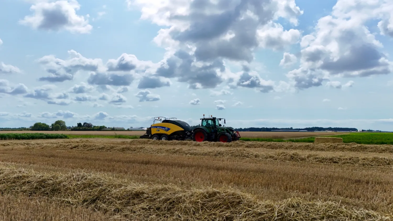 Tarwestro Gezocht in Noordoostpolder | Aankoop