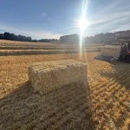 Gehakselde Gerstestrobalen Te Koop
