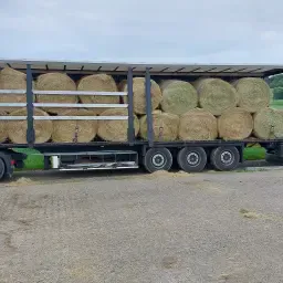 Hooibalen kopen - Top kwaliteit, 250-300kg gewicht