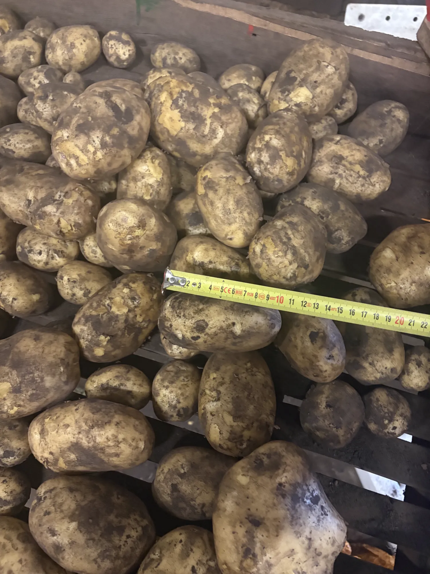 Fontane Aardappelen, Oogst 2024 - Grote Partij Beschikbaar