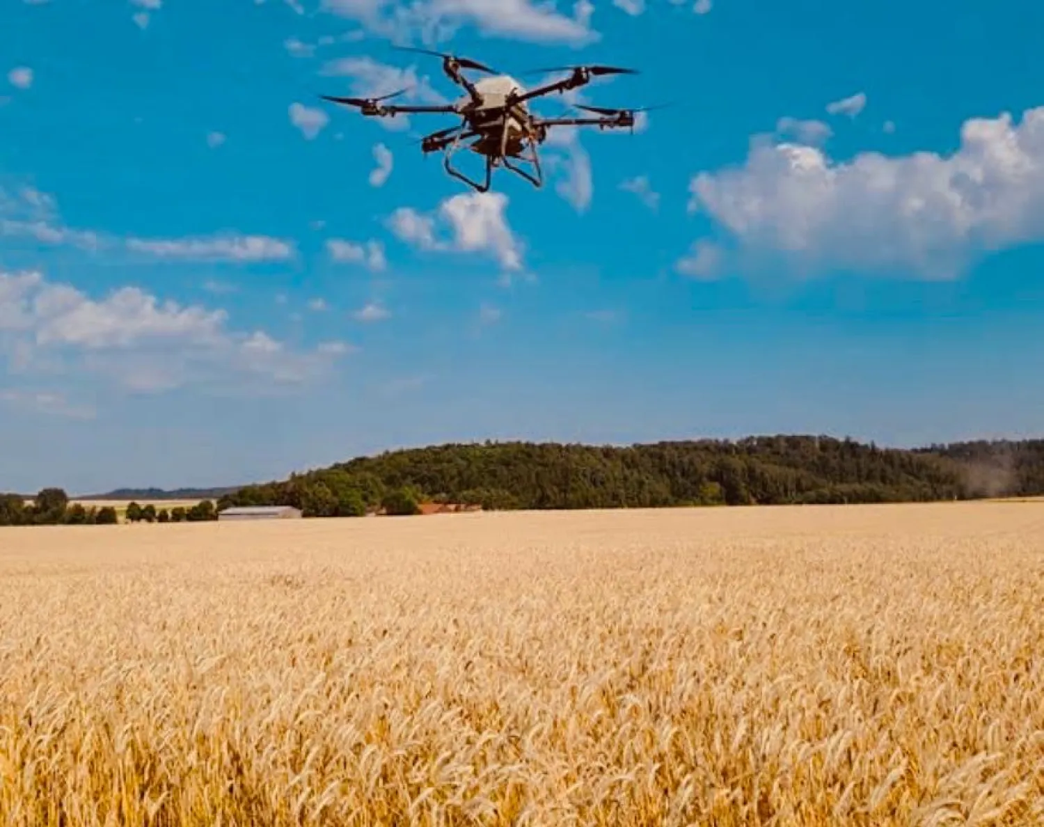 Drone zaaien Groenbemester - Snel & Goedkoop tot 10 ha/uur