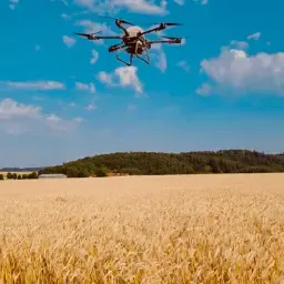 https://cdn.farmtrade.nl/media/155956/conversions/RuK7aW-thumbnail.webp
