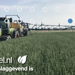 https://cdn.farmtrade.nl/media/156019/conversions/8mWvTO-thumbnail.webp
