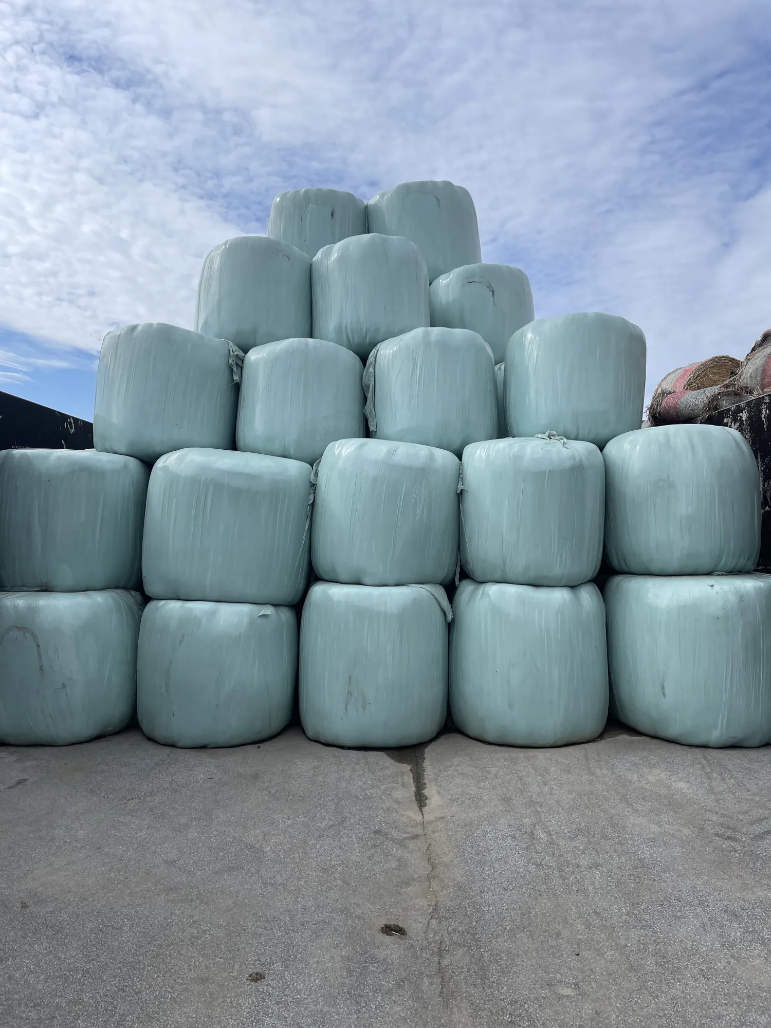 Silageballen 125cm, 2. Schnitt - Top Qualität