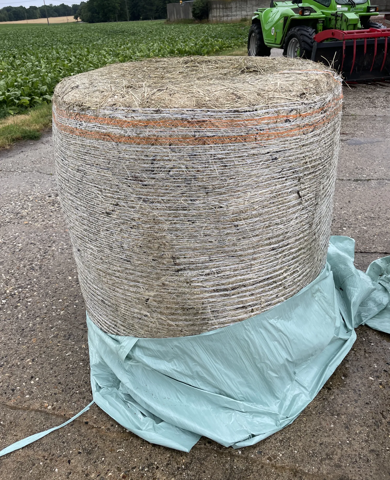 Silageballen 125cm, 2. Schnitt - Top Qualität