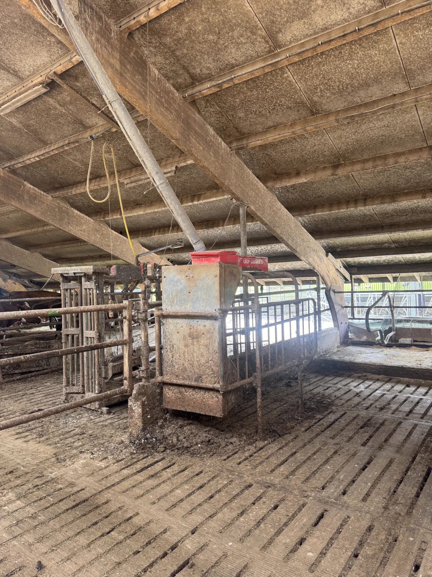 Lely Krachtvoerbox: Automatische Voeding voor Vee