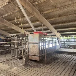 https://cdn.farmtrade.nl/media/156326/conversions/IAZzIh-thumbnail.webp