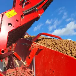 https://cdn.farmtrade.nl/media/156434/conversions/40OCup-thumbnail.webp