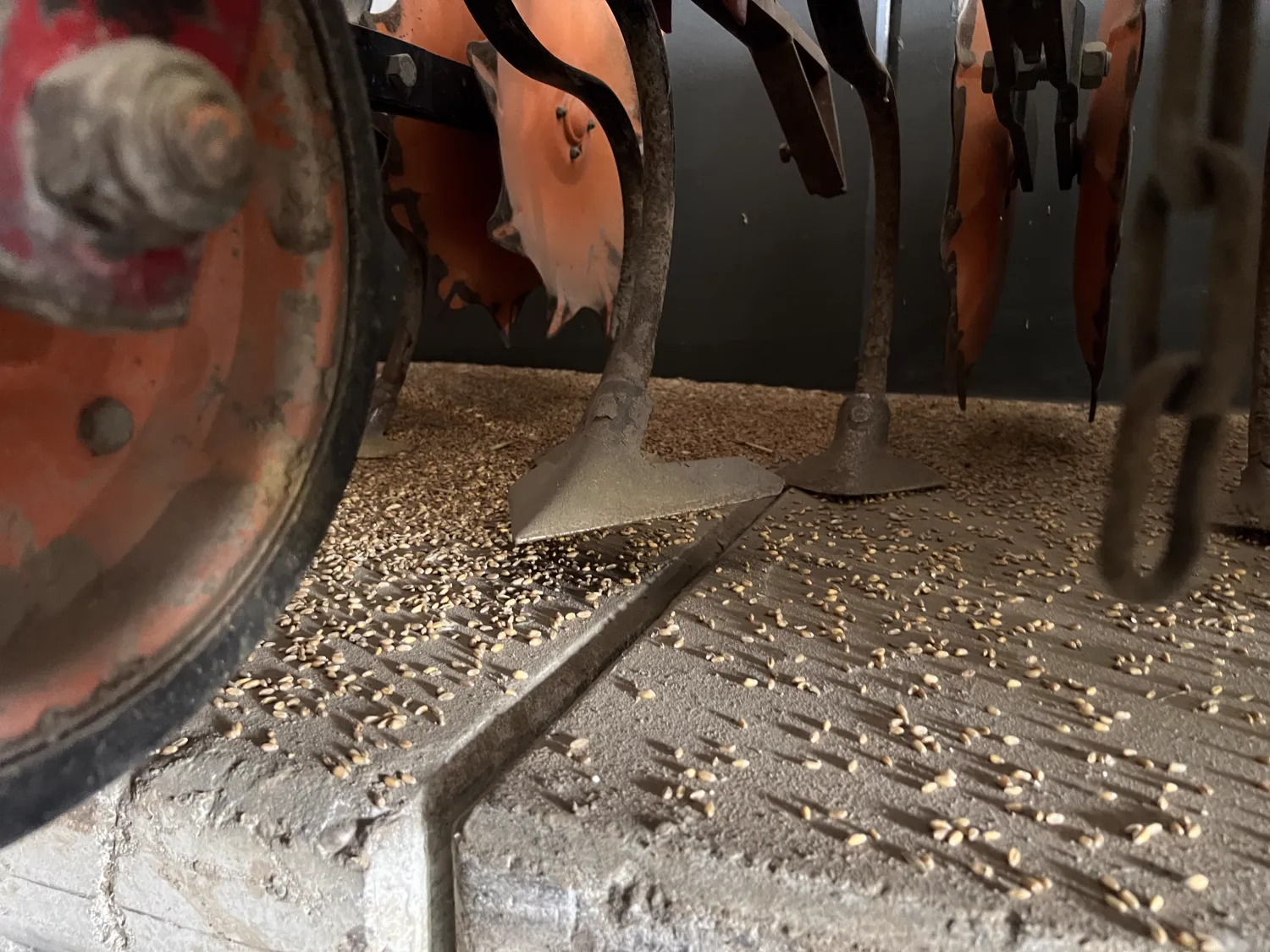 Kongskilde Viber Beta 12 Rij Schoffelmachine | Akkerbouw
