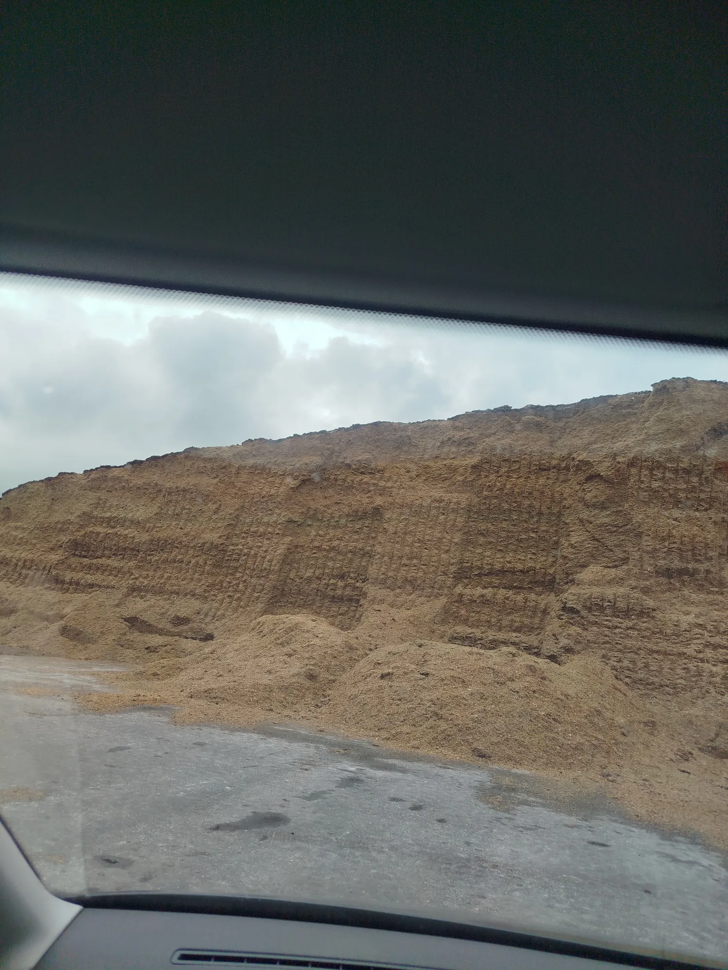 Maissilage Oogst 2024 | Wietmarschen