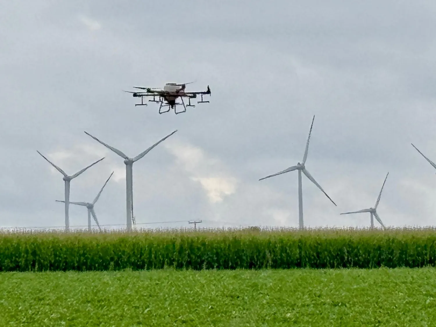 Groenbemester zaaien met Drone - Snel & Goedkoop