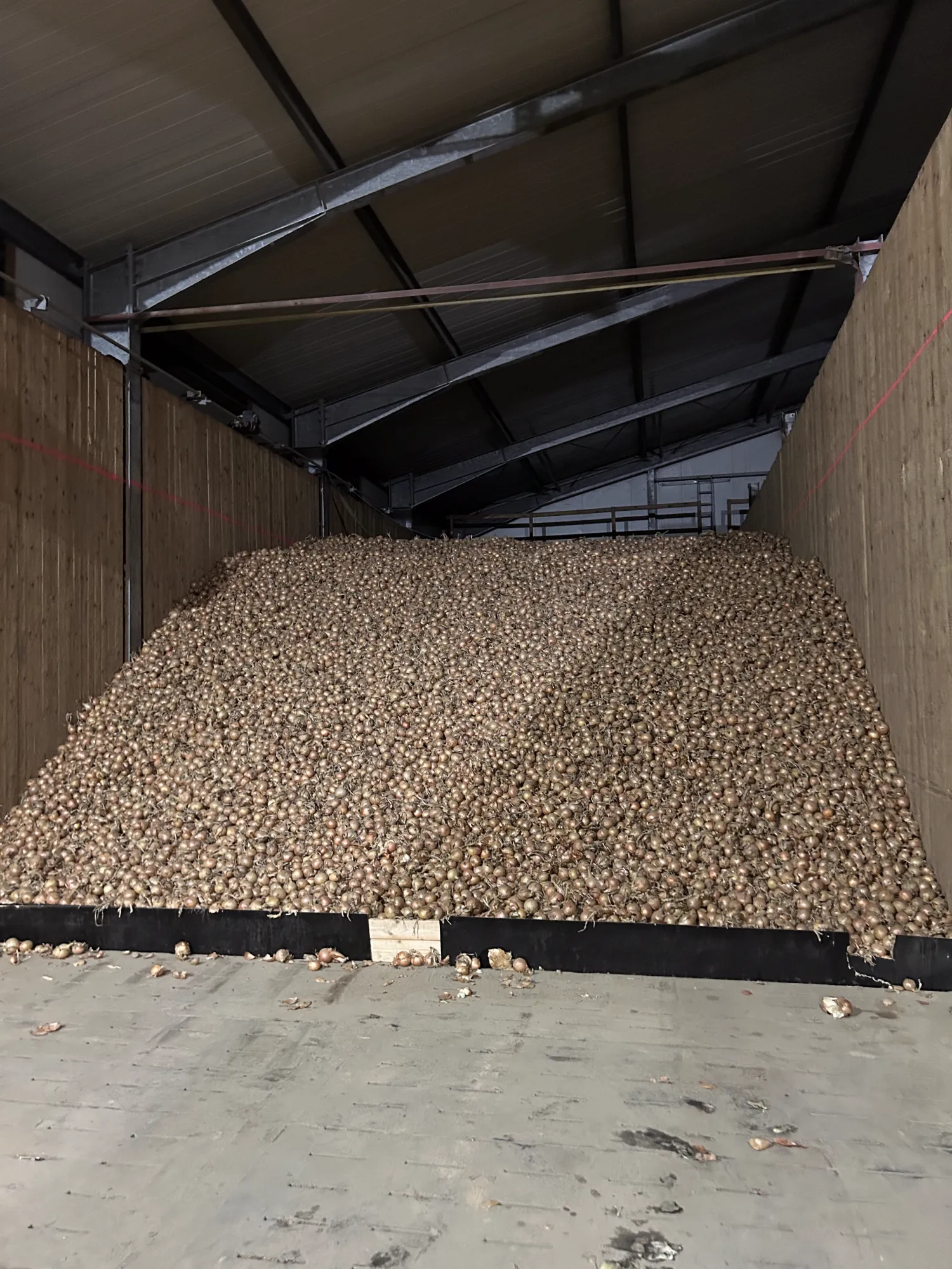Aardappel-/uienopslag gezocht | Bied uw opslagruimte aan!