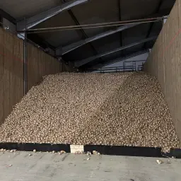 Aardappel-/uienopslag gezocht | Bied uw opslagruimte aan!