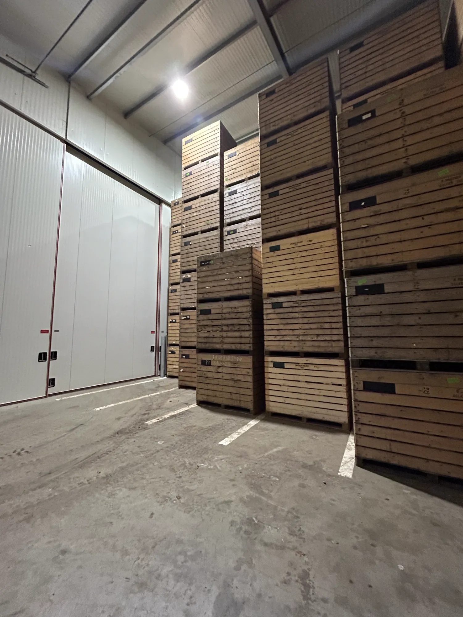 Aardappel-/uienopslag gezocht | Bied uw opslagruimte aan!