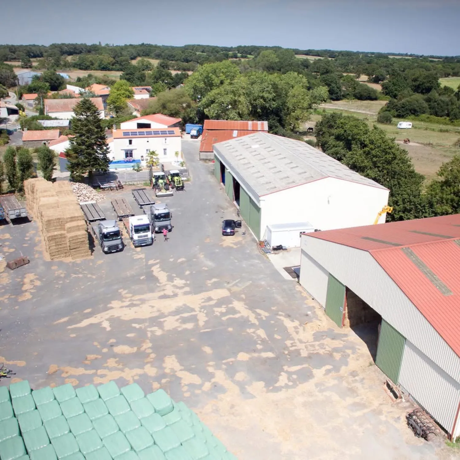 Premium Horse Hay from Brittany | Low Dust & Low Sugar