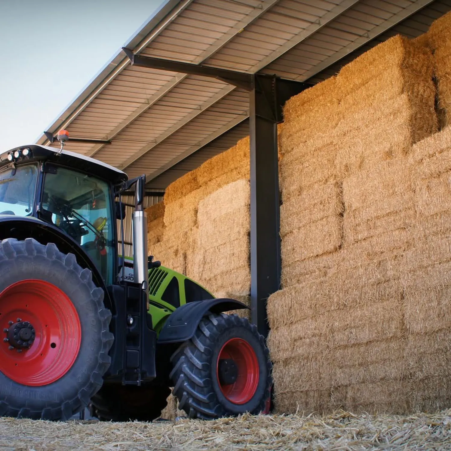 Premium Horse Hay from Brittany | Low Dust & Low Sugar