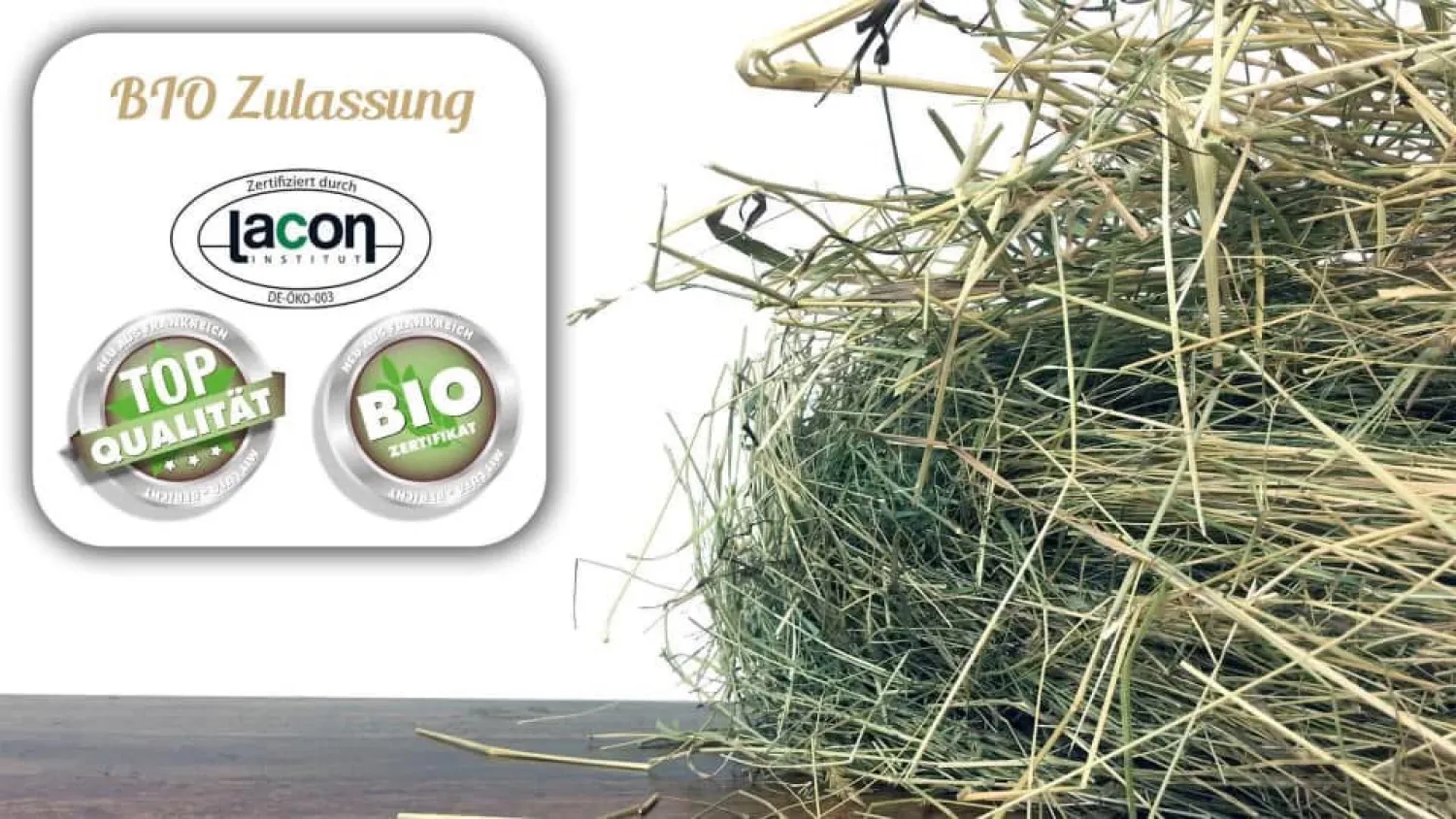 Premium Horse Hay from Brittany | Low Dust & Low Sugar