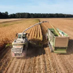 Mais Hakselen incl. Transport & Silowalsen