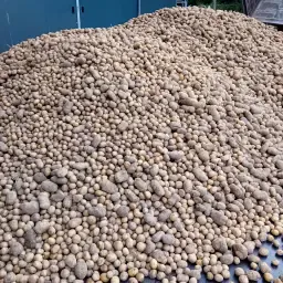https://cdn.farmtrade.nl/media/157351/conversions/NW8ztb-thumbnail.webp
