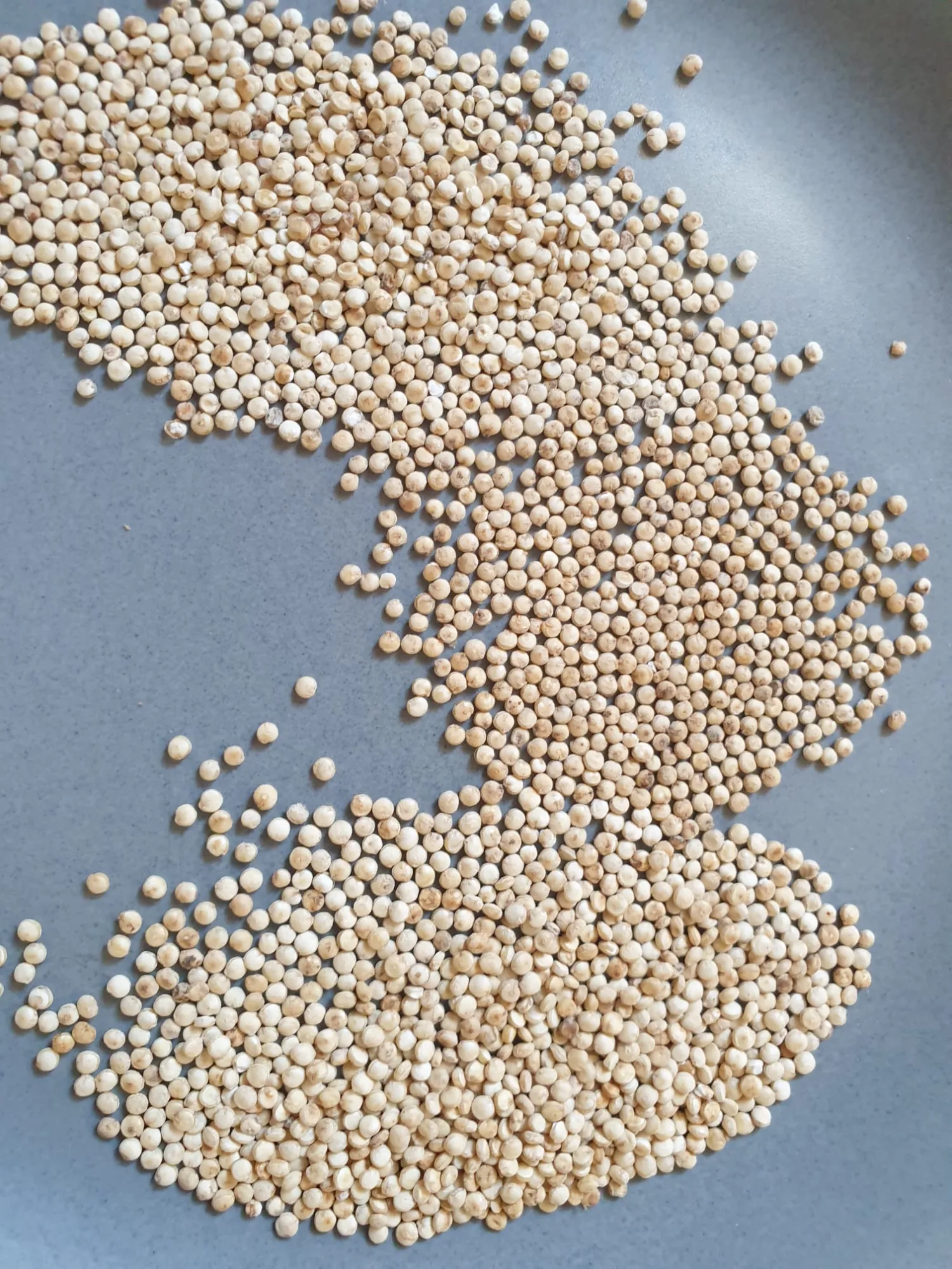 Quinoa kaufen: 10 t im Bigbag – Direkt vom Erzeuger
