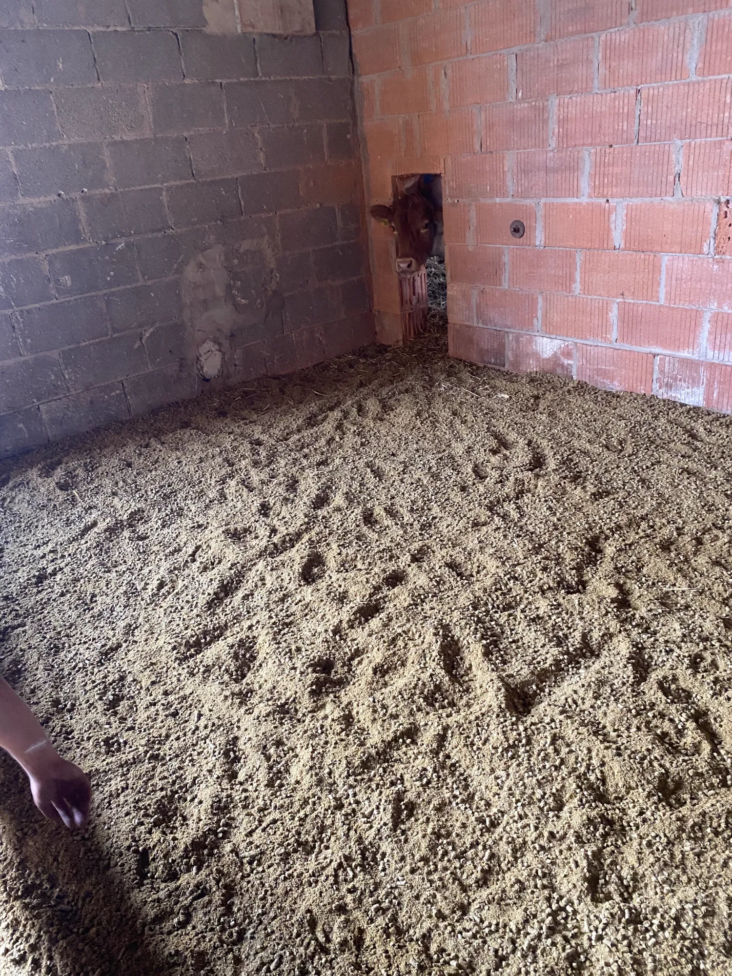 Strokorrels: Absorberend, Stofarm – Ideaal voor Dierenverblijf