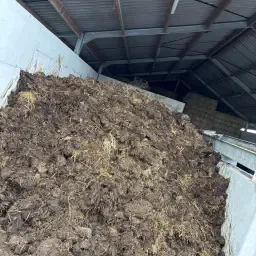 Quality Solid Manure from Beef Cattle | Straw Bedded