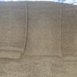 https://cdn.farmtrade.nl/media/158123/conversions/LKfHBi-thumbnail.webp