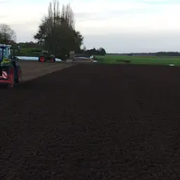 Operator Ciągnika do zbioru Mieczyków i Tulipanów