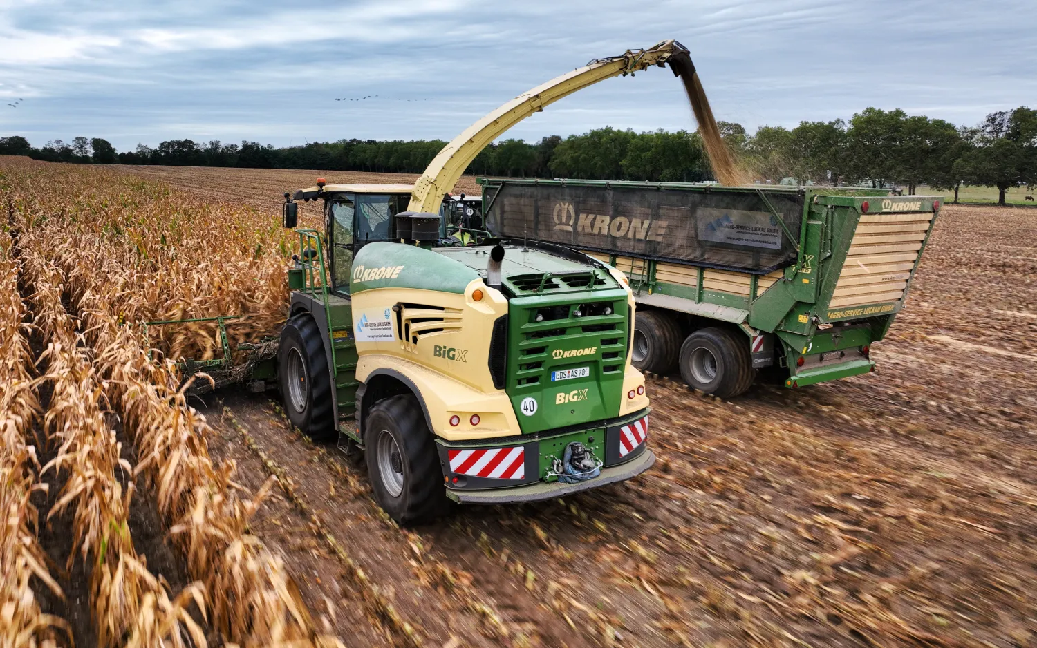 Mais hakselen incl. transport & silobouw