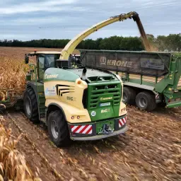 Mais hakselen incl. transport & silobouw