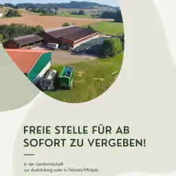 Praca w Rolnictwie Morshausen: Stażysta/Pół etatu