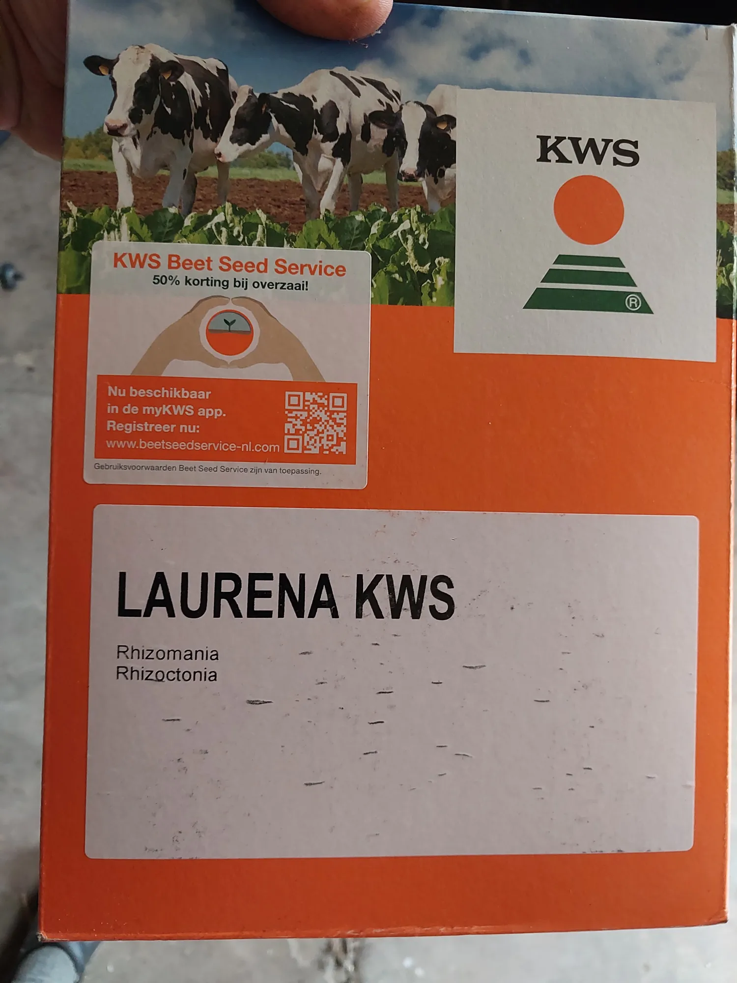 7.6 ha Voederbieten KWS Laurena te Koop