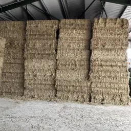 Paie de grâu tăiată fin, baloturi
