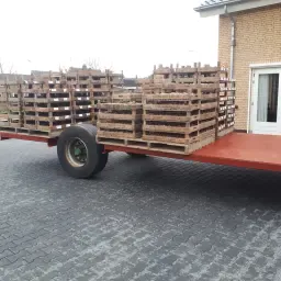 Harvest Wagon For Sale - 6 Cubic Box Capacity