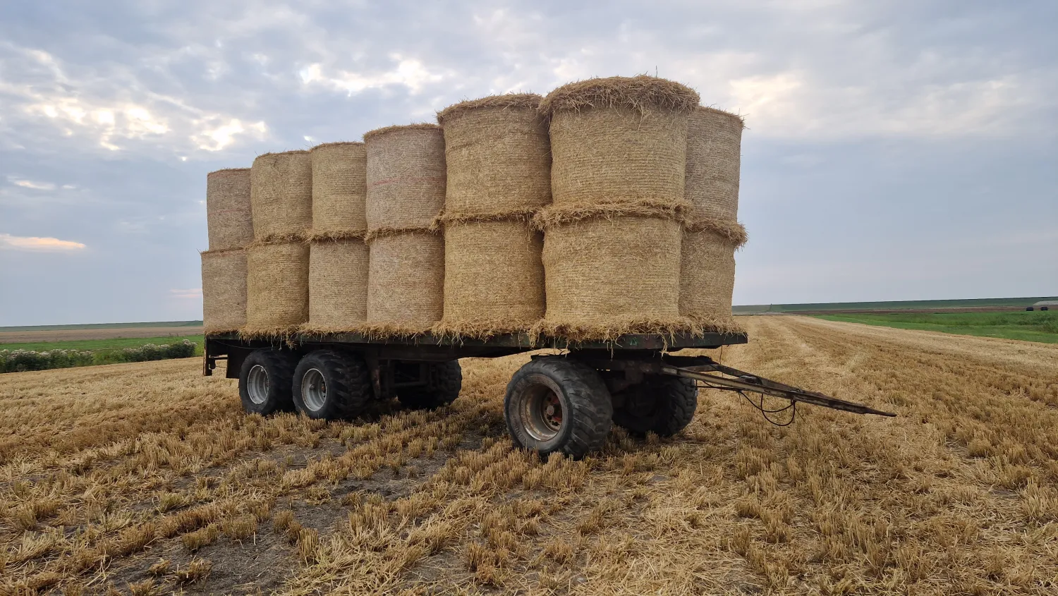 Baler / Straw Wagon with Wide Tires - For Sale