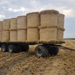 Baler / Straw Wagon with Wide Tires - For Sale