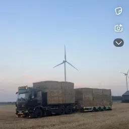 Cumpără paie de grâu | Paie de înaltă calitate de vânzare