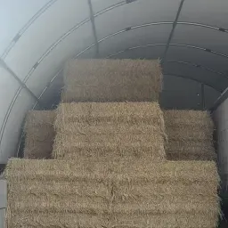 Triticale & Roggen Stroh – Top Qualität – 68 Ballen