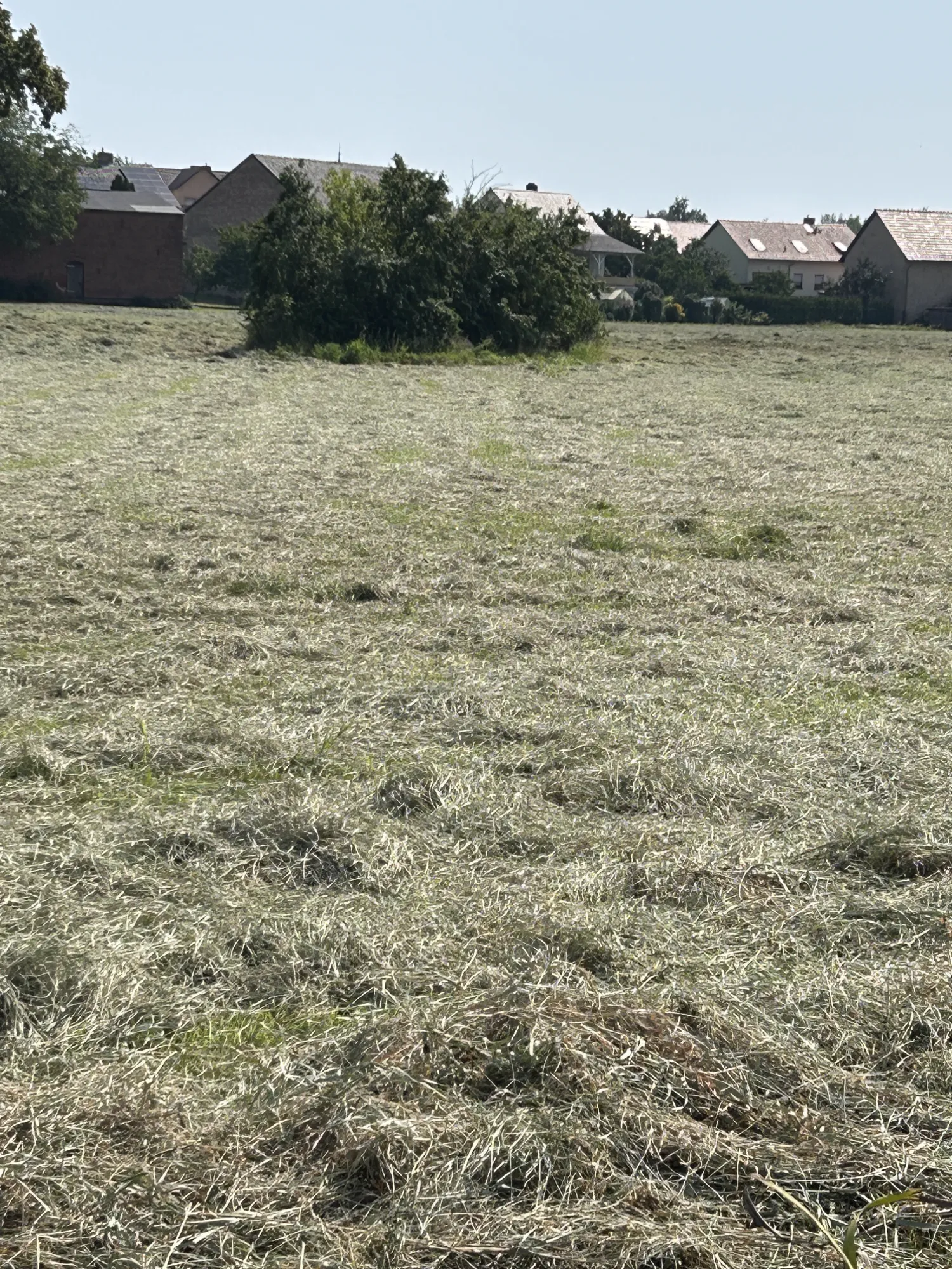 Hooibalen, Oogst 2025, Diameter 1,3m