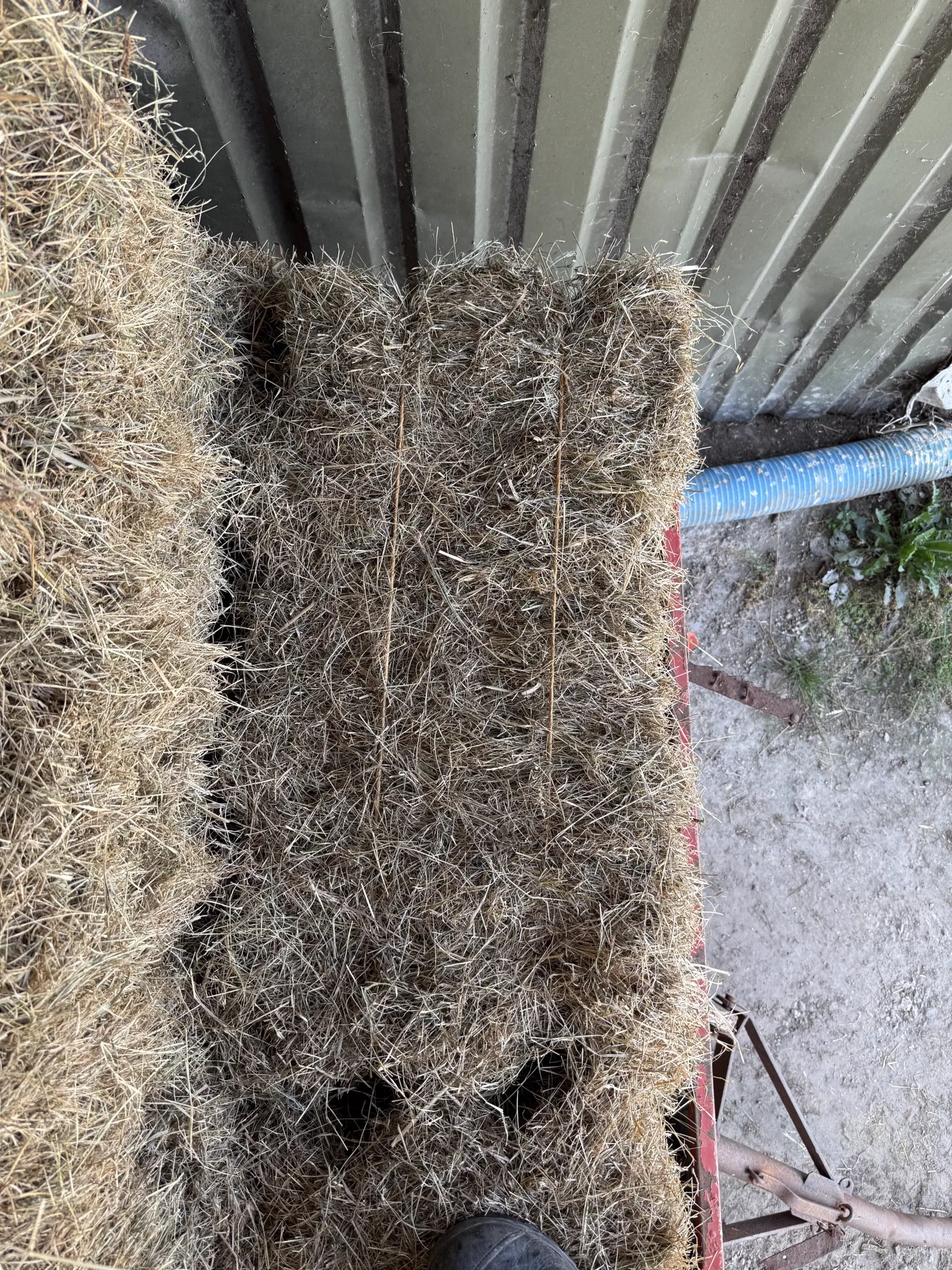 Dijkhooi kleine pakken te koop - Onbemest 2e snee