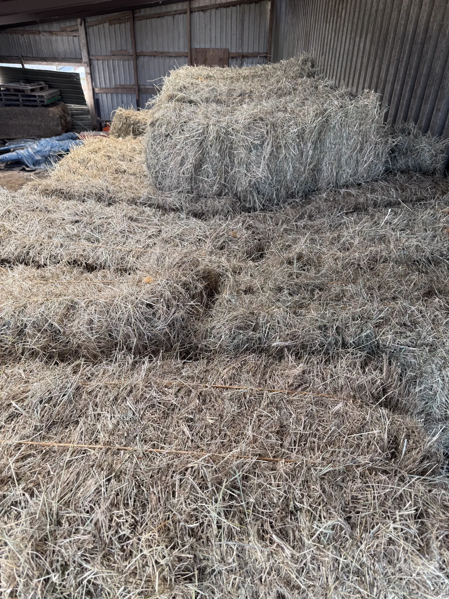 Dijkhooi kleine pakken te koop - Onbemest 2e snee