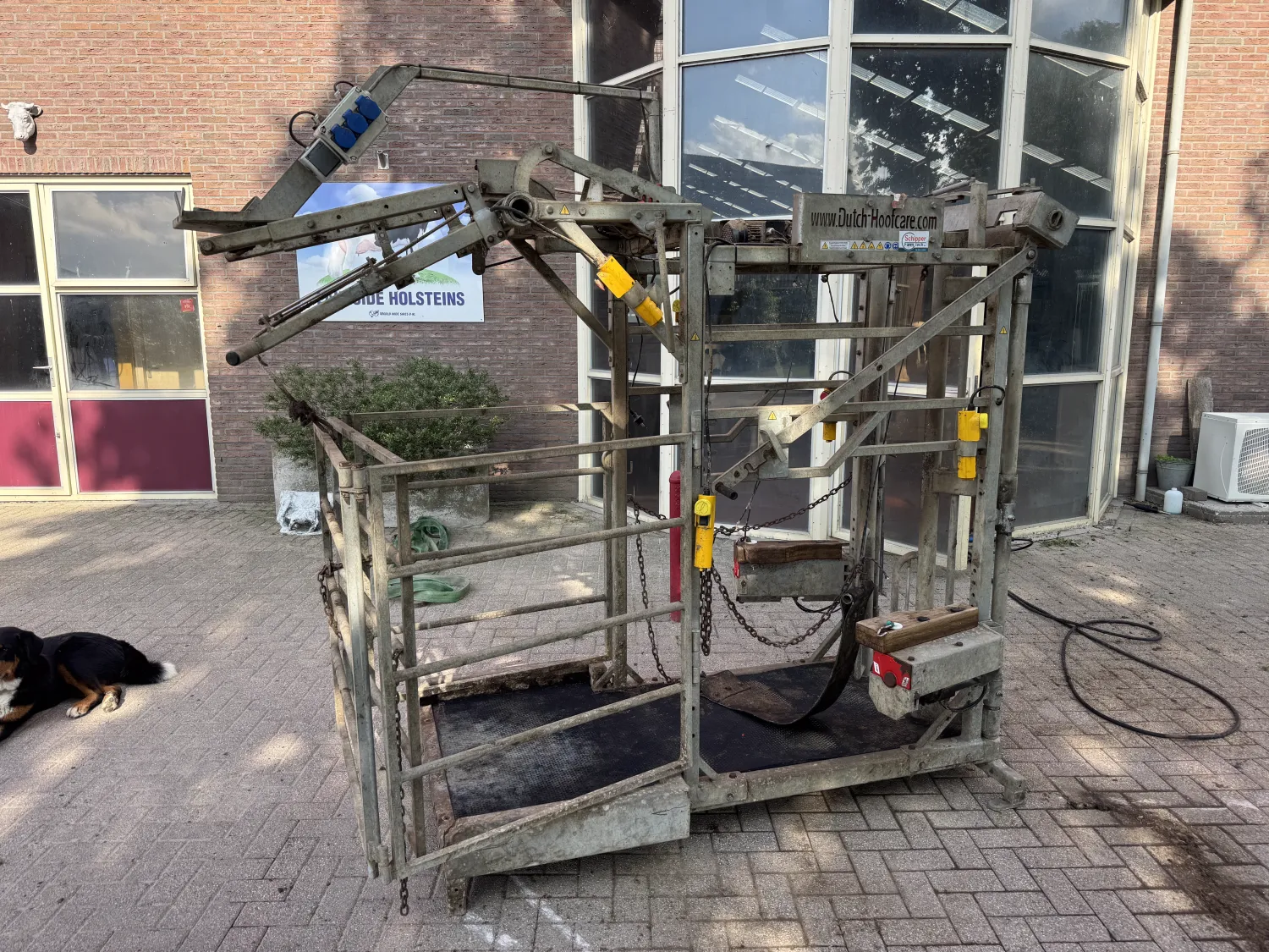 Tweedehands Dutchhoofcare Klauwbekapbox - Bouwjaar 2017