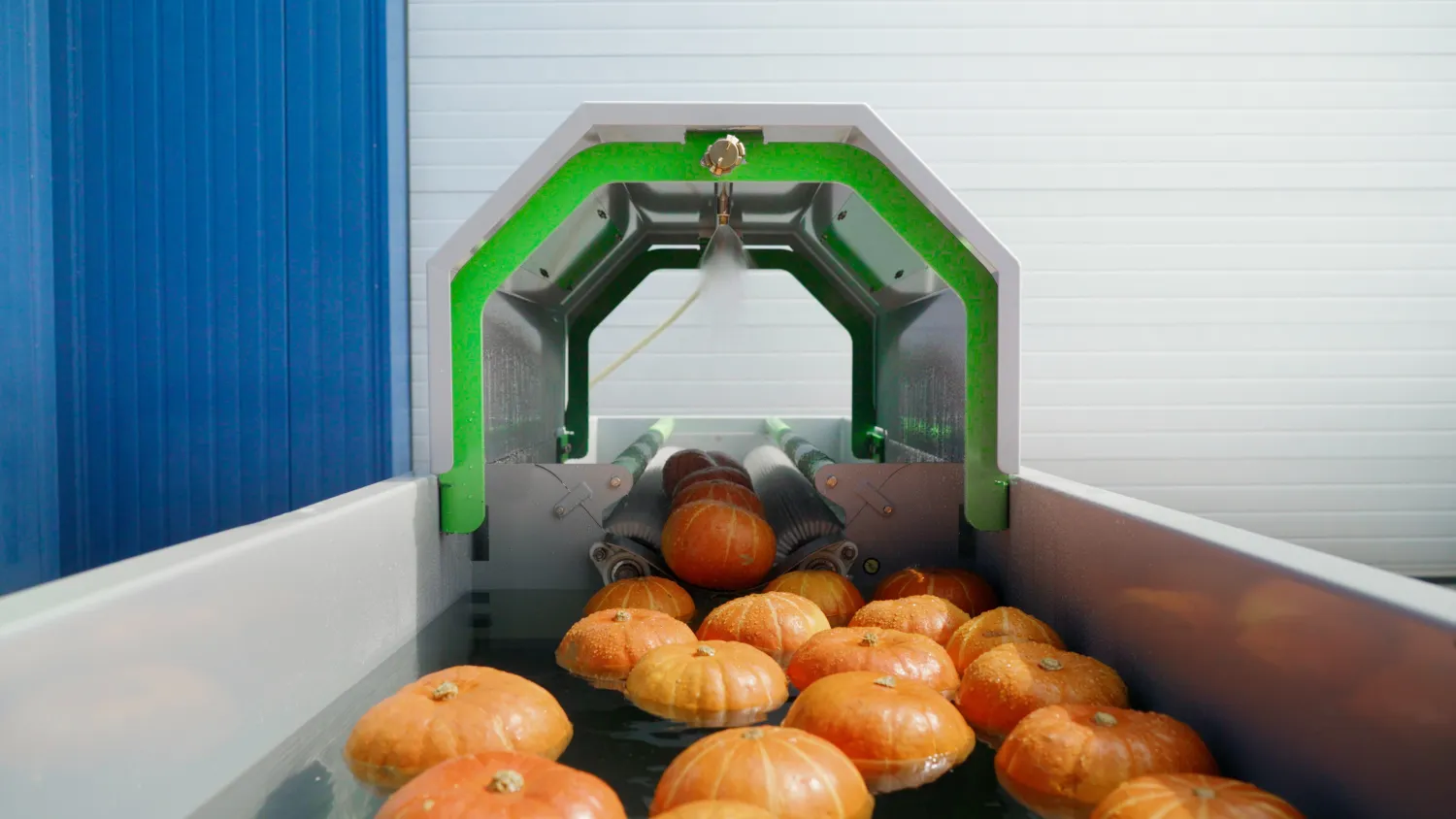 RVS Trommelwasser voor wortelen, aardappelen en bieten