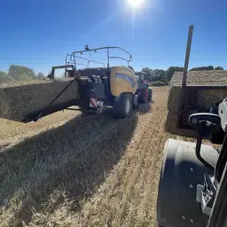 Rechthoekige strobalen: Topkwaliteit voor de landbouw