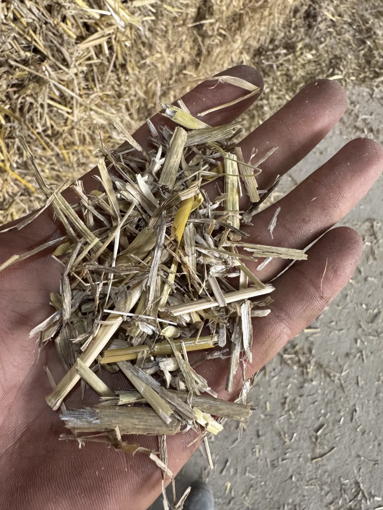 Graan (tarwe, gerst, haver) in verschillende maten