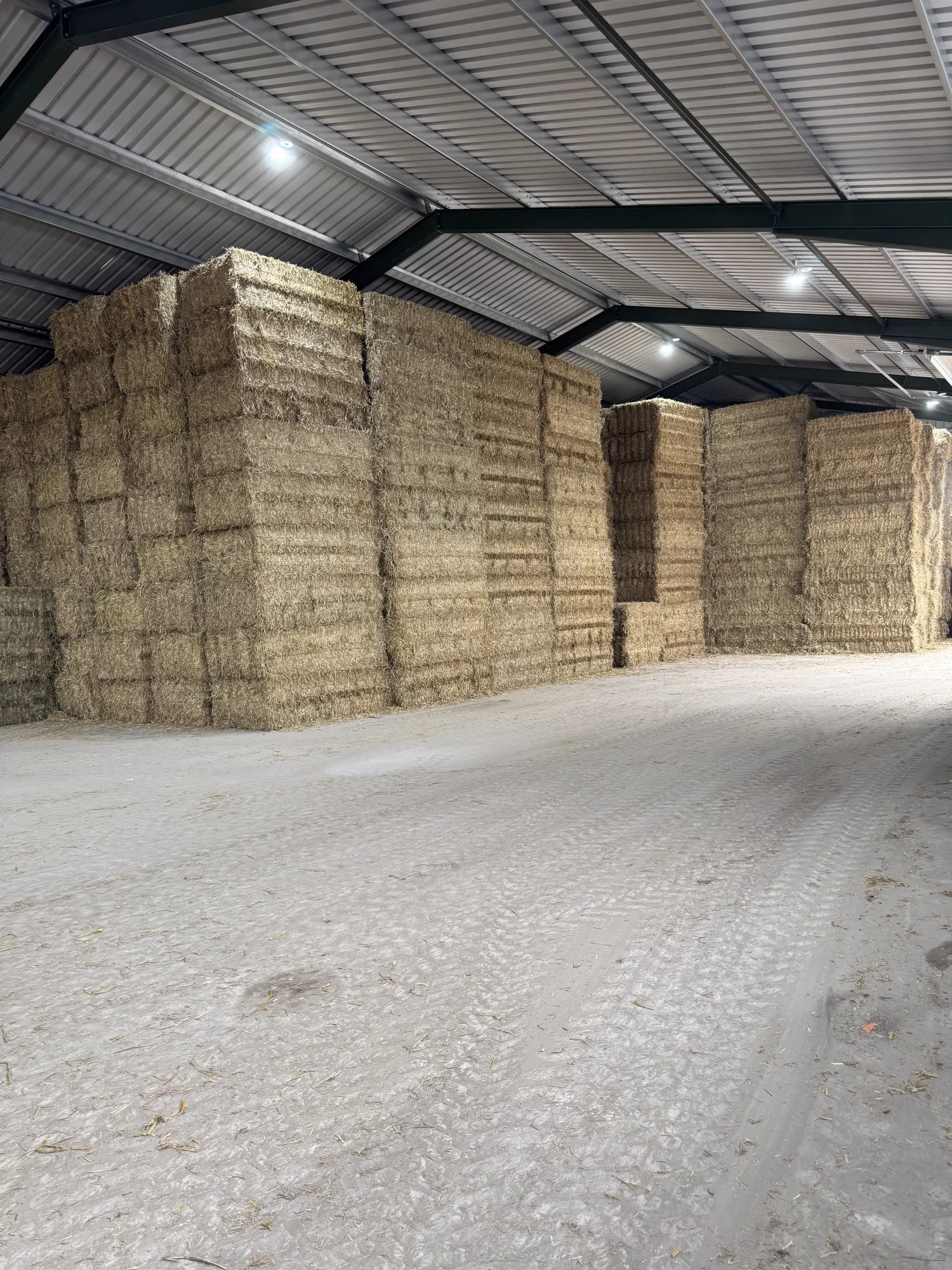 Graan (tarwe, gerst, haver) in verschillende maten