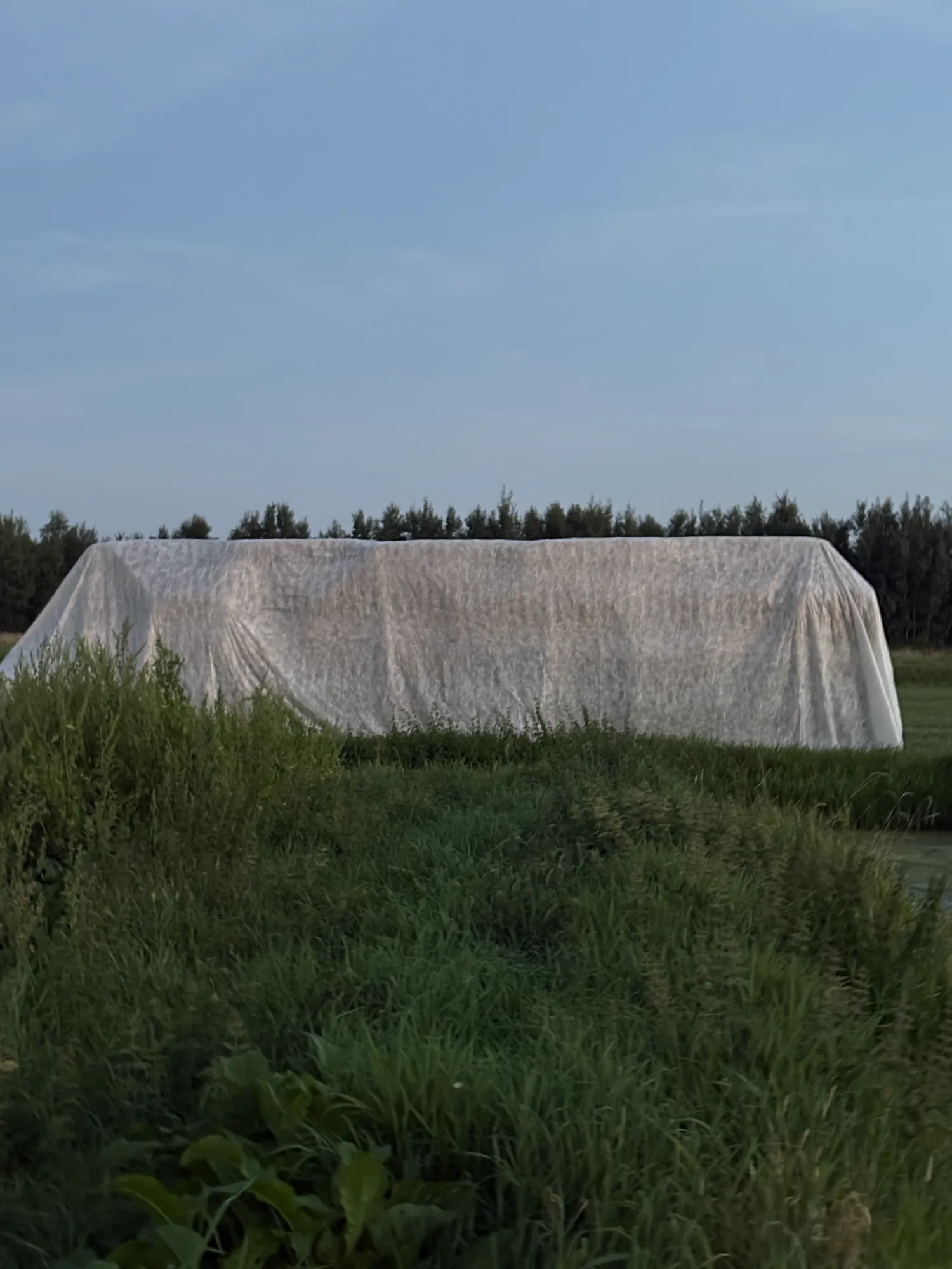 Gerstestro Grote Pakken - Hoge Kwaliteit Direct Beschikbaar